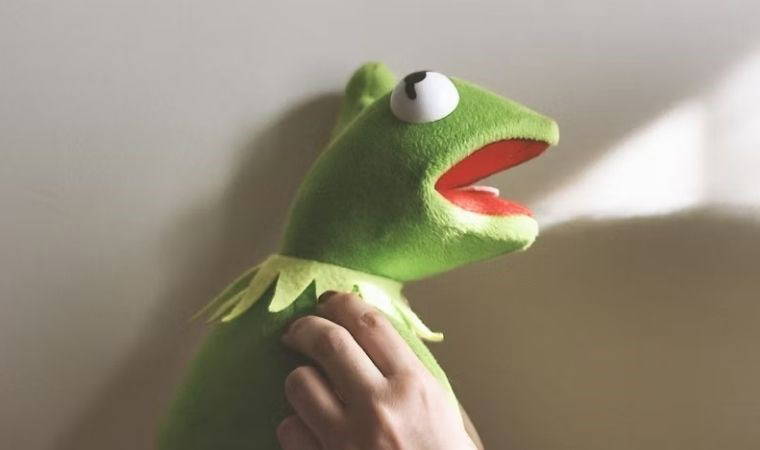 Ünlü kurbağa Kermit'in 270 milyon yıllık fosili bulundu