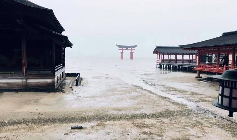 Feribot dünyaca ünlü tapınağın yakınında karaya oturdu