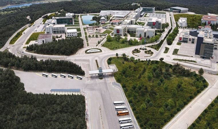 Üniversitede cinsel taciz!