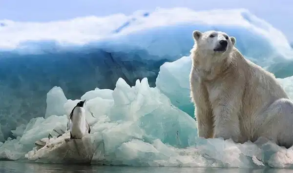 Bilim insanları ortaya çıkardı: 'Dünya'nın dönüşünü yavaşlattı'