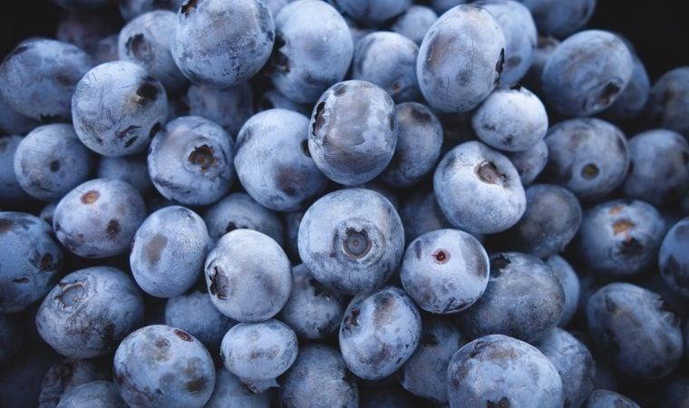 Yaban mersini mavi olmasına rağmen sıkıldığında neden bordo olur?