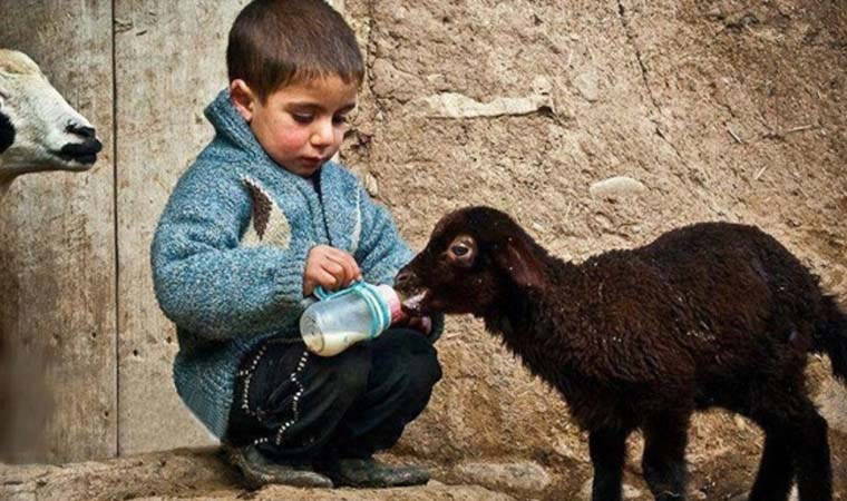 En masum 5 burç: Bu burçlar masumiyet çekiciliğine sahip