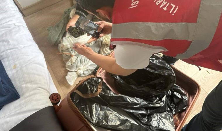 Kaçak yolla getirilen yaklaşık 100 bin adet tıbbi sülük ele geçirildi