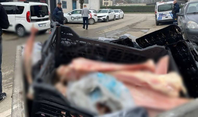 Çöpte eti sıyrılmış at kemikleri bulundu