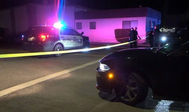 Bahçe partisine silahlı saldırı: 4 ölü