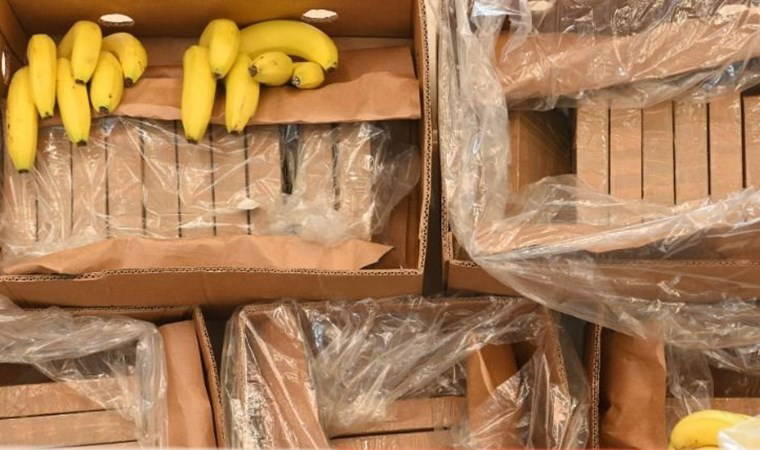 Muz kutularında yakalandı: 'Rekor' miktarda kokain
