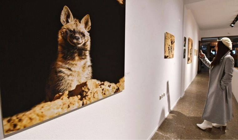 Geliri depremzedelere gidecek