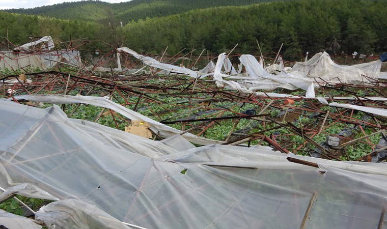 Alanya'da hortum 250 dönümden fazla seraya zarar verdi