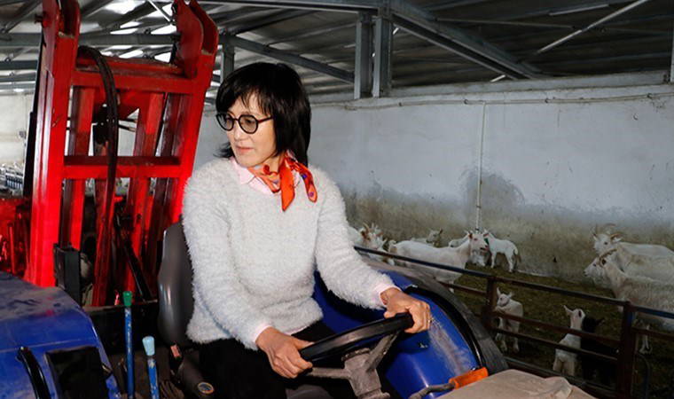 Güney Kore'den geldi, Kandıra'da çiftlik kurdu: 22 dönümlük arsada üretim yapıyor...