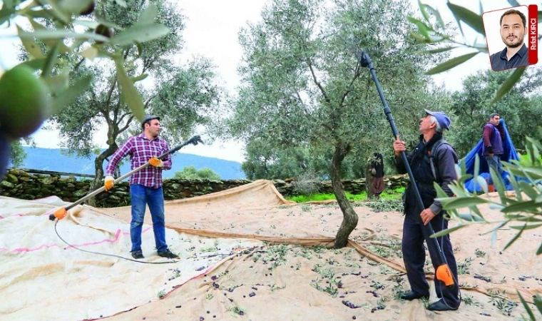 Maden şirketlerinden ruhsat kurnazlığı