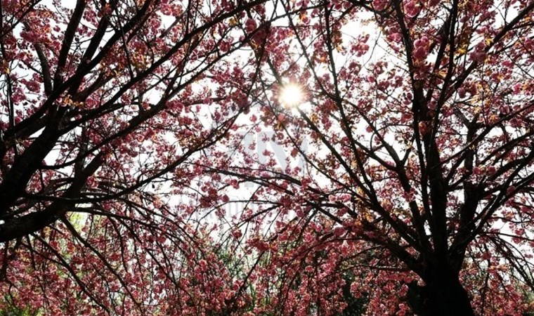 Meteoroloji açıkladı: 1 Nisan 2024 hava durumu raporu... Bugün hava nasıl olacak?