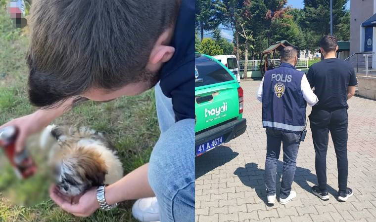 Köpeğe alkol içirip, sosyal medyada paylaştı!