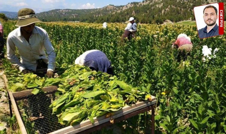 Binlerce çiftçi üretimden kopuyor