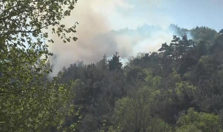 Bursa'da orman yangını!