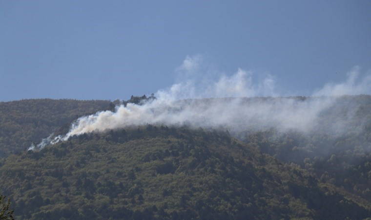 Uludağ eteklerinde orman yangını!
