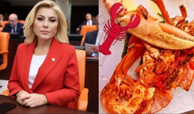 AKP'li Şebnem Bursalı'dan 'ıstakoz' eleştirilerine yanıt: 'Gündem değiştirmeye yönelik'