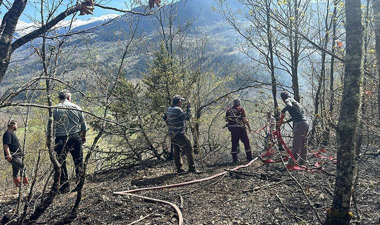 Artvin'de orman yangını: 2 hektar alan zarar gördü
