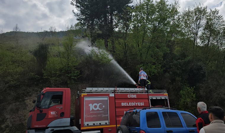 Kastamonu’da korkutan orman yangını: Büyümeden söndürüldü