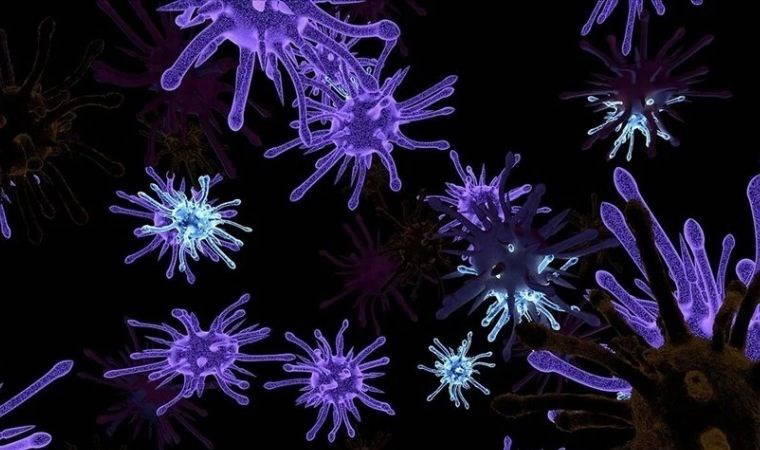 Bilim insanları: ''Dünya dışı yaşamın yeni rehberi olabilir''