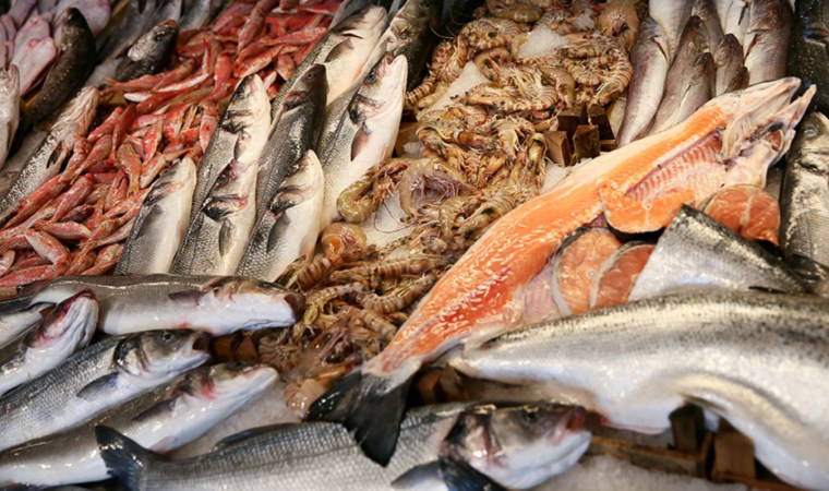 Antalya balık avı sezonunu 529 ton ile kapattı