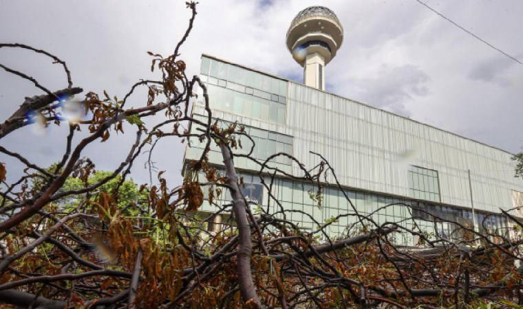 Ankara'da fırtına etkili olmaya başladı