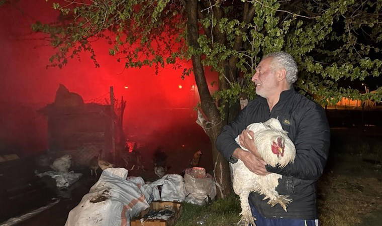 Tekstil atıkların toplandığı depo alev alev yandı: Tavuğuna sarıldı