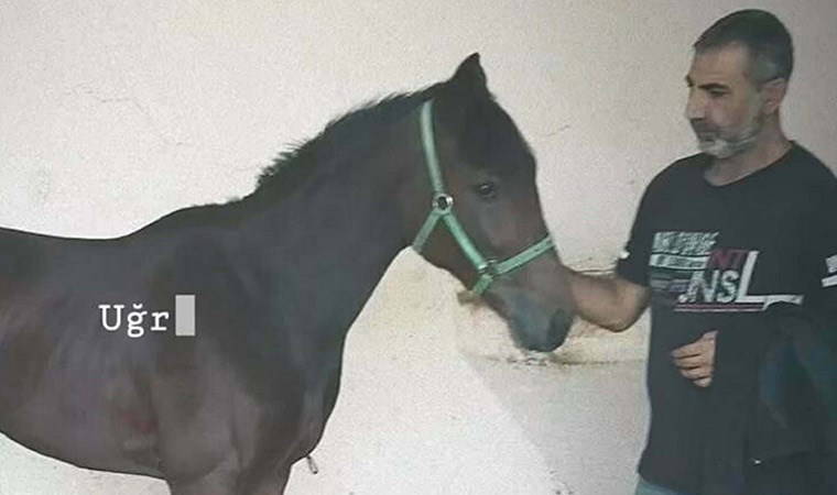 Tek yumruk darbesiyle hastanelik olan seyisten 97 gün sonra acı haber