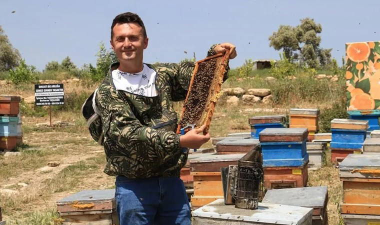 Yöneticiliği bırakıp 'arıcı' oldu: 'Bu kararı vermemde en büyük faktör...'