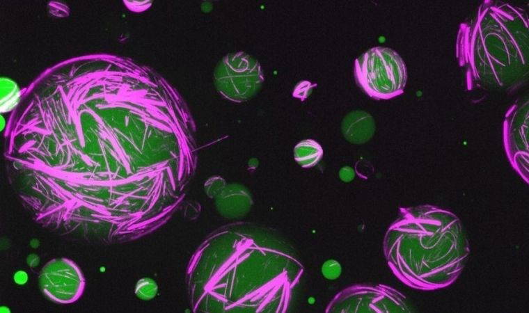 Canlı hücre gibi davranan yapay hücre üretildi