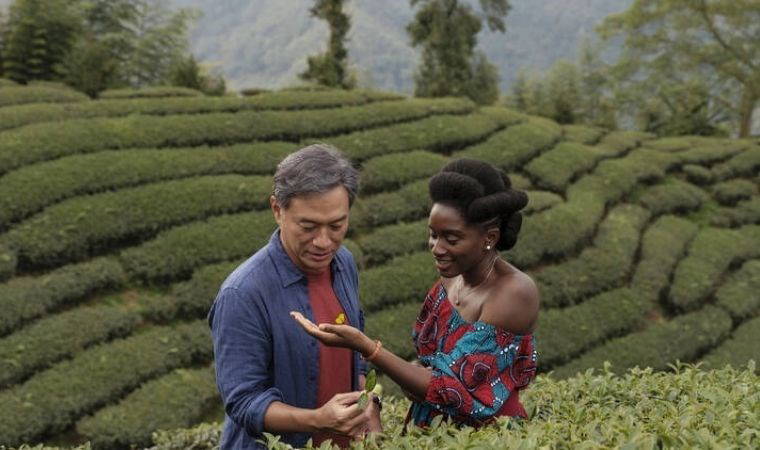 Daha iyi bir Dünya'ya doğru