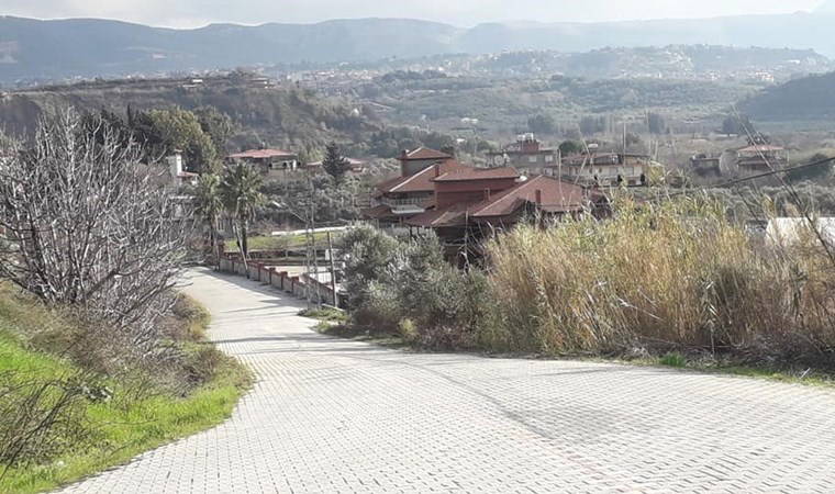 Hatay'da 2 mahalleye kuduz karantinası!