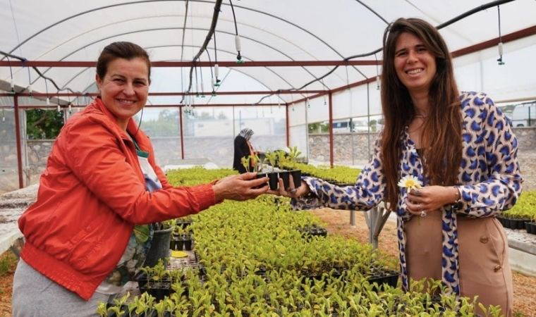 Başkan Lal Denizli üreticilere 50 bin adet fidan dağıttı