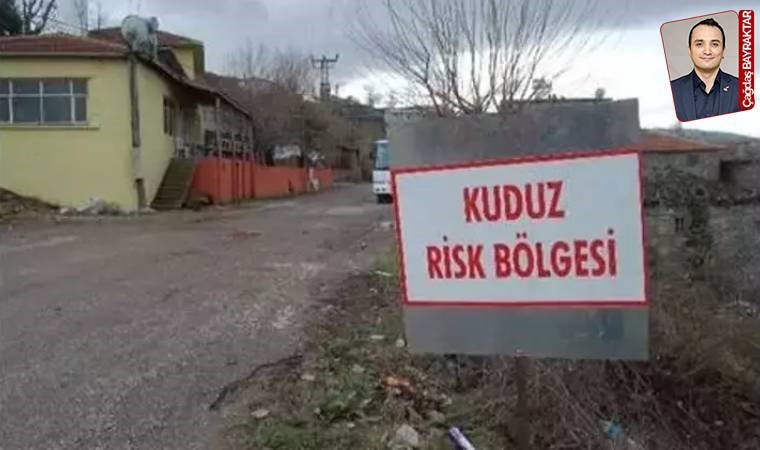 Uzmanlar Hatay için defalarca uyardı, umursanmadı ve felaket geldi: Dikkat kuduz var!