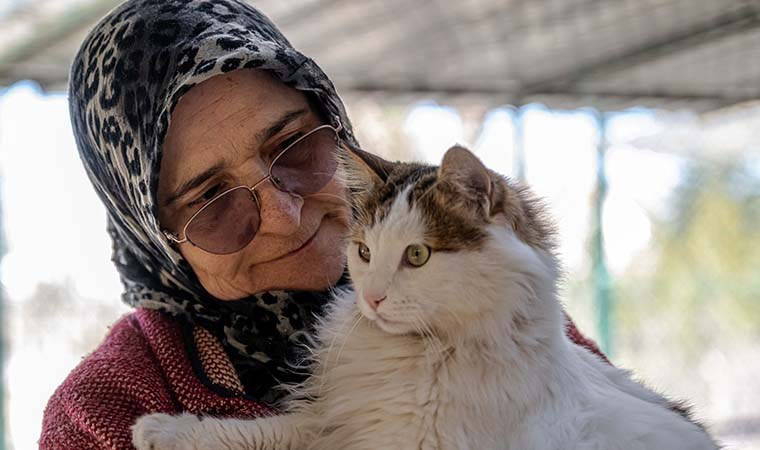 Müstakil evinin bir katını sokak kedilerine yuva yaptı