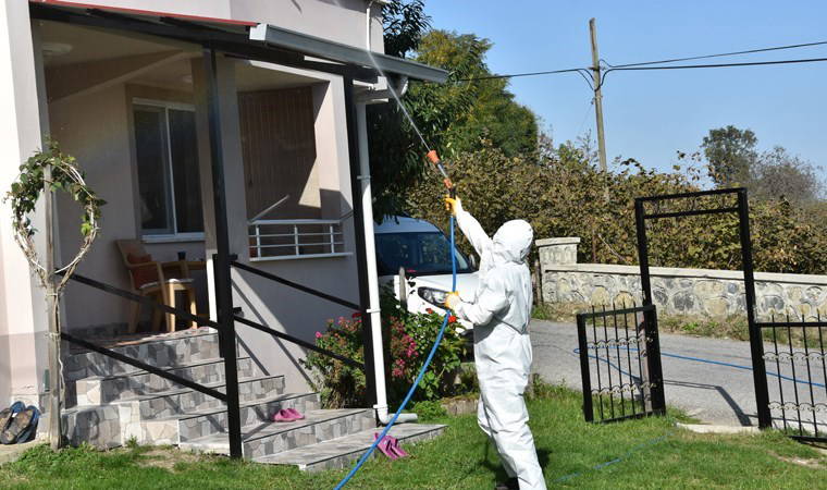 Ordu'da kahverengi kokarca ile mücadele sürüyor: 40 bin noktada ilaçlama yapıldı