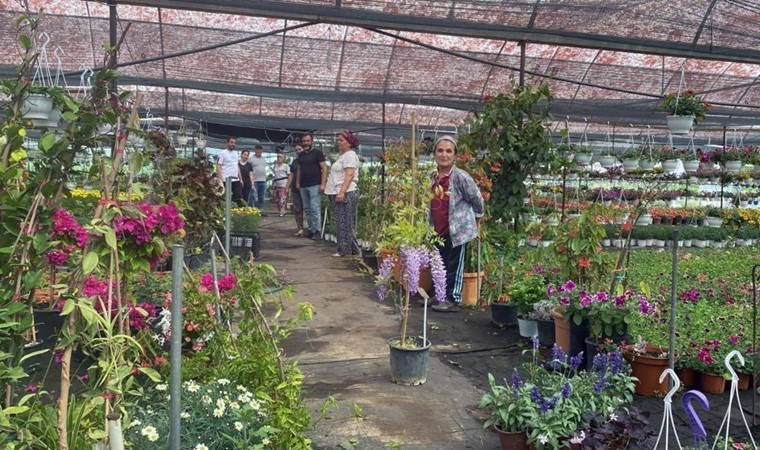 3 sera ile başladılar şimdi sezonda 1 milyon ürün hedefliyorlar! Piyasa değeri 50 milyon TL