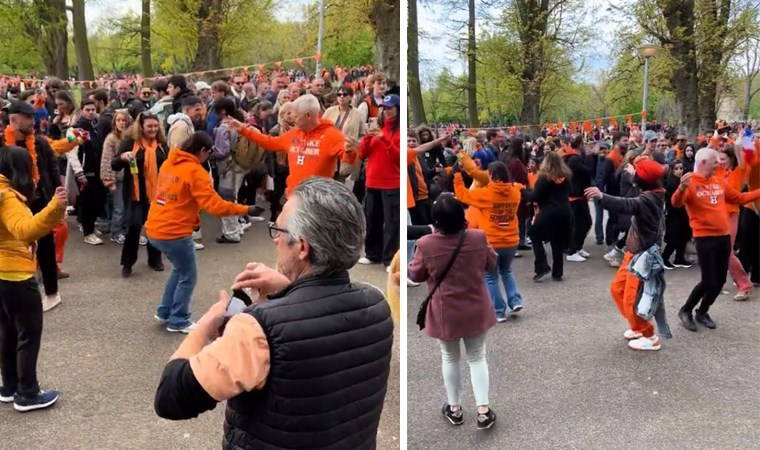 Hollanda'da kralın doğum günü 'Erik Dalı' ile kutlandı