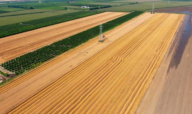 Buğday'da hasat başlıyor: Çiftçi ton başına 15 bin lira istiyor