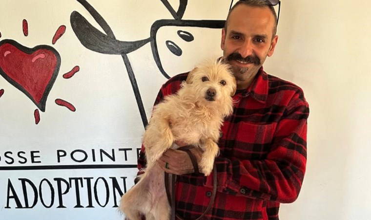 Kayıp köpek 9 ay sonra ortaya çıktı: 'Hollywood'un yazmak isteyeceği bir hikaye'