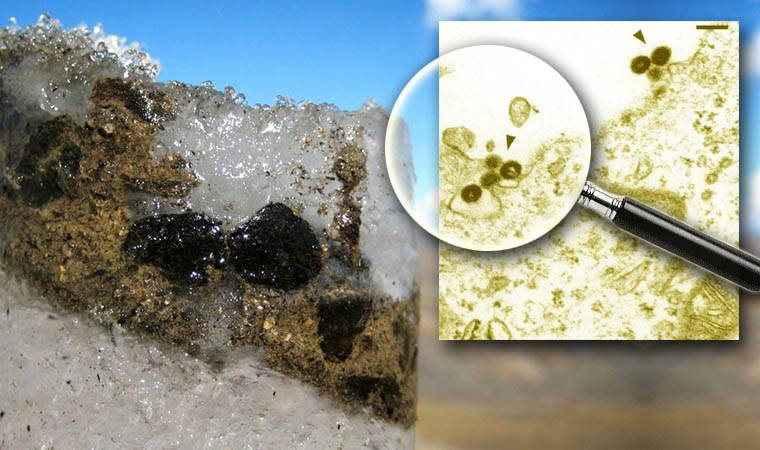 Araştırma: 'Tarihin en uzun salgını...'