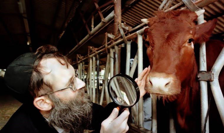 3. Dünya Savaşı ile ne ilgisi var?