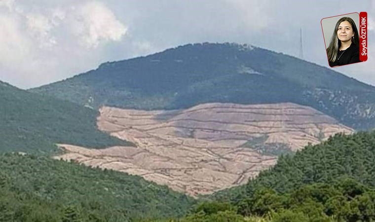 Kıyımlarıyla tanınan şirketin ruhsat alanlarına komşu bölgeler kamulaştırıldı: Türkiye’de vahşi madencilik genişliyor