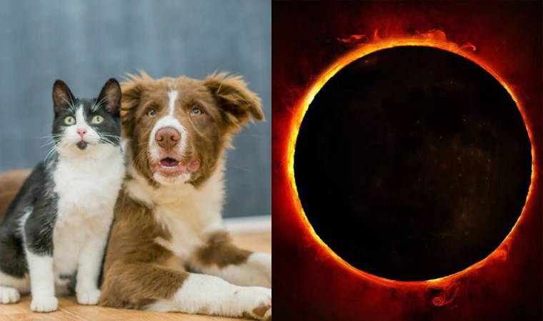 Bugün gerçekleşecek...