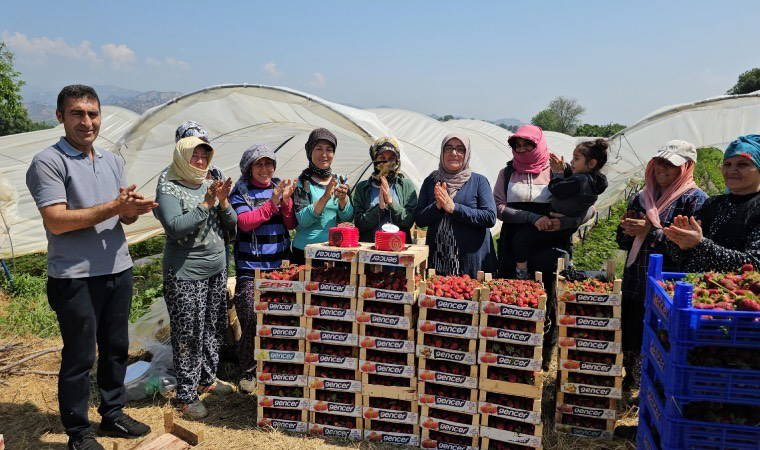Tarım işçileri 1 Mayıs'ı meydanda değil, tarlada kutladılar