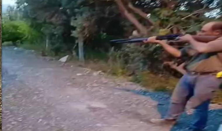Sokak köpeğini öldüren saldırgan yakalandı