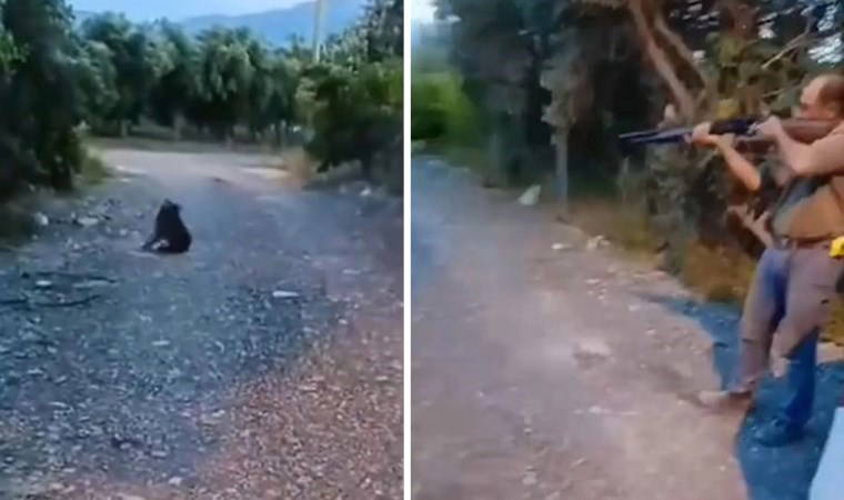 Adaletsizliğin tetiklediği şiddet sarmalı