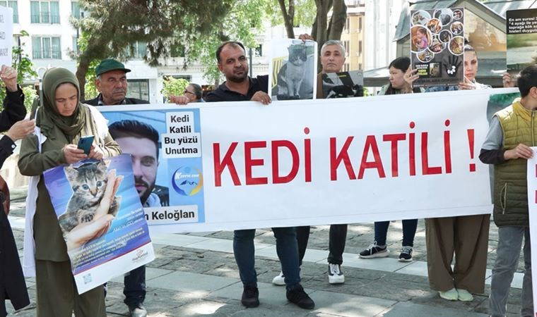 Beyazıt Meydanı'nda kedi ölümlerine protesto