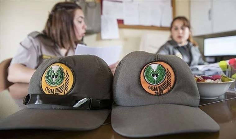 Orman Genel Müdürlüğü işçi alımı sonuçları ne zaman açıklanacak?