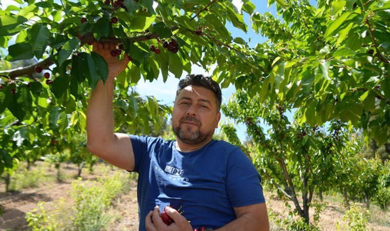 Bilecik'te hasat edildi: Tarlada 39, markette 199 lira