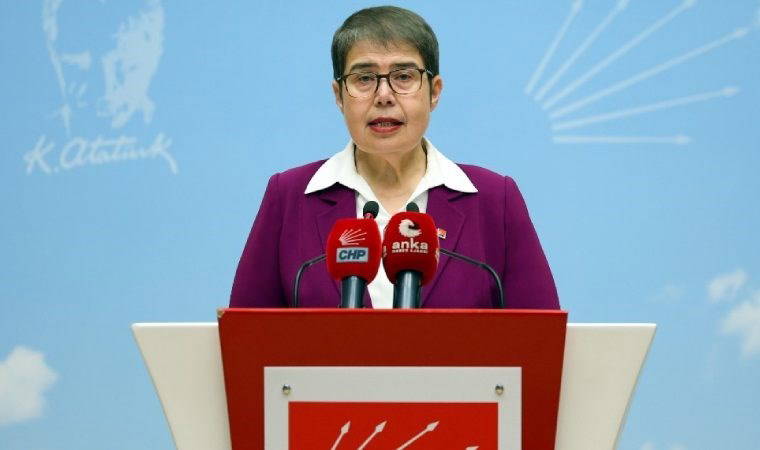 CHP Genel Başkan Yardımcısı Şahbaz: Hemşirelerimizin sorunları ve talepleri görmezden geliniyor
